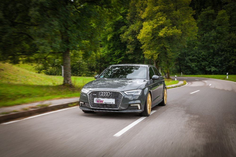 KW Gewindefahrwerk  V3 Inox (mit Druck- & Zugstufendämpfung) für Audi A3 Typ 8V (Sportback) Ø 55mm, für Mehrlenker HA, ohne elektr. Dämpferregelung